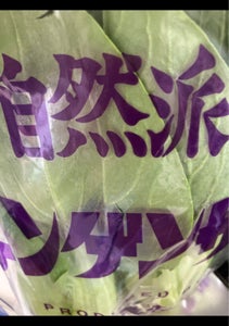 石本　ＦＧ袋　チンゲン菜の商品写真
