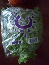 生子 生き生きサニーレタス