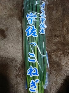 FNP こねぎ 100gのレビュー画像