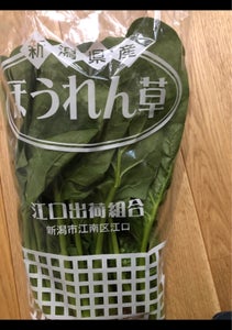 江口 ほうれんそう 1Pの商品写真