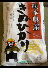 九州食糧 熊本産キヌヒカリ 5kg