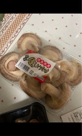 前川園 なましいたけ 1P