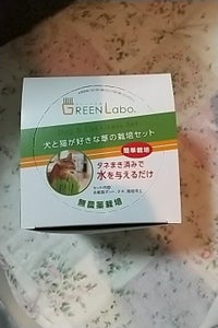 エイムクリエイツ 犬と猫が好きな草栽培セットの商品写真