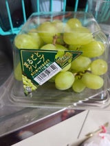 ヨドヤ トンプソン オーストラリア産用 1P