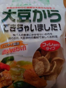 藤沢　Ｆ大豆からできちゃいました　６５ｇの商品写真