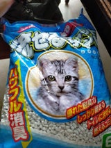 常陸 流せるキャットサンド 6L