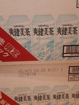 コカコーラ 爽健美茶 500ml×24