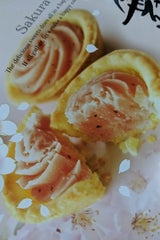 千曲 花びら舞う 9個