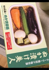 野田 ヌカ漬け美人 TK-32