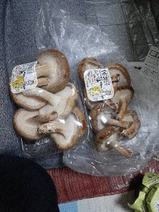 岩泉 岩手県産なましいたけ 1Pの商品写真