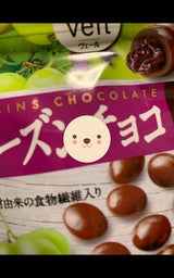 正栄食品 果実VeilレーズンCスタンドP 49g