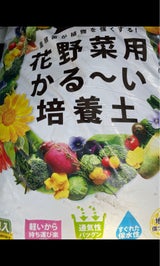 プロトリーフ 粒状かるい培養土 12L