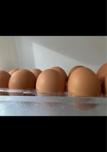 丸ト鶏卵販売　郡上赤たまごの商品写真