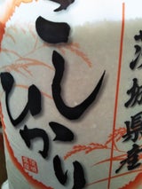 武蔵 青森県産まっしぐら 8kg