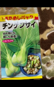日本農産 チンゲンサイおためしパック 1Pのレビュー画像