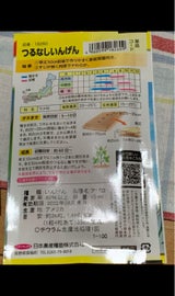 日本農産 つるなしいんげん(オタメシパック) 1P