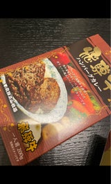 飛騨きよみ 飛騨牛ハンバーグカレー 200g