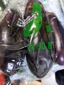 有澤大成 なす 1Pの商品写真