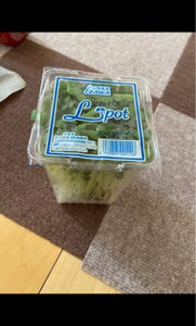 井澤 かいわれ Lポット 140gの商品写真