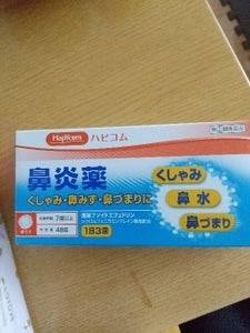 鼻炎薬Ａ「クニヒロ」　４８錠の商品写真