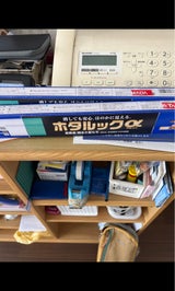 NEC ホタルックFL20EDF-SHG-A-2P