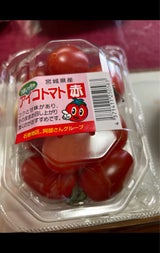 クリエイトF アイコトマト赤 100g