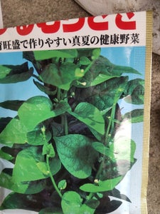 アタリヤ　真夏の健康野菜　つるむらさき　（緑茎種）のレビュー画像