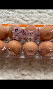 卵　１０ＨＬＬ−２　赤玉の商品写真