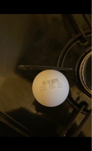 使用している写真