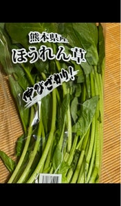 アサヒ ビタミンカラー ホーレン草の商品写真