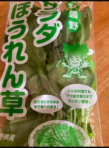 あっきー　サラダほうれん草　１Ｐの商品写真