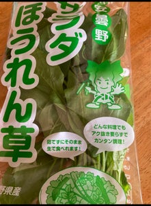 あっきー サラダほうれん草 1Pの商品写真