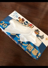 道栄 日本ハムファイターズティッシュ 5P