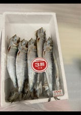 大竹水産 真いわし丸干