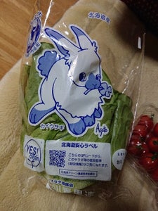 旭正農協　サラダ菜　袋の商品写真