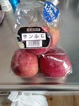 對馬 サンふじ 6個