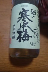 越の寒中梅 純米吟醸 カップ 200ml