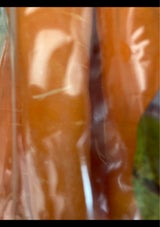 ファーストP 甘いにんじん