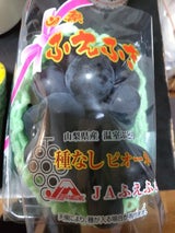 JAふえふき 温室ピオーネ