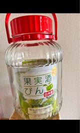 佐々木ガラス 果実酒用 5L瓶