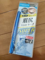 パワースタイル リキッドアイブロウ SWP N2