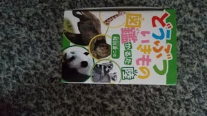 日本パール加工 どうぶついきもの図鑑かるたの商品写真