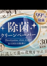 除菌クリーンペーパー 30枚