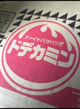 アサヒ ドデカミン PET 500ml×24