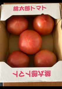 ＪＡ全農とちぎ　トマト　栃木県産のレビュー画像