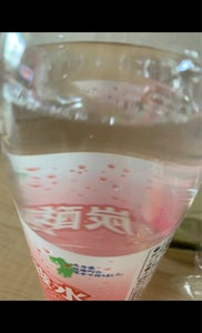アンドウラボ アクア炭酸水 500mlの商品写真