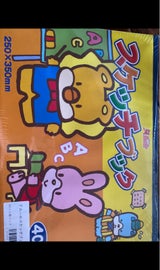 永池 アムールスケッチブック B4