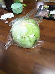 第一包装 JA淡路日の出レタス 1Pの商品写真