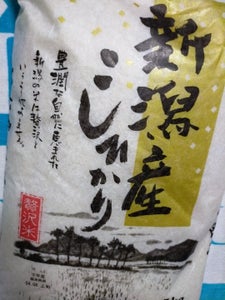 伊藤米穀　新潟県産　コシヒカリ　５ｋｇの商品写真