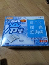 アスコラルL 48枚